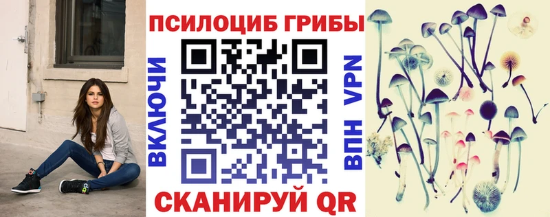 цены наркотик  Тамбов  Галлюциногенные грибы GOLDEN TEACHER 